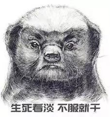 张荣